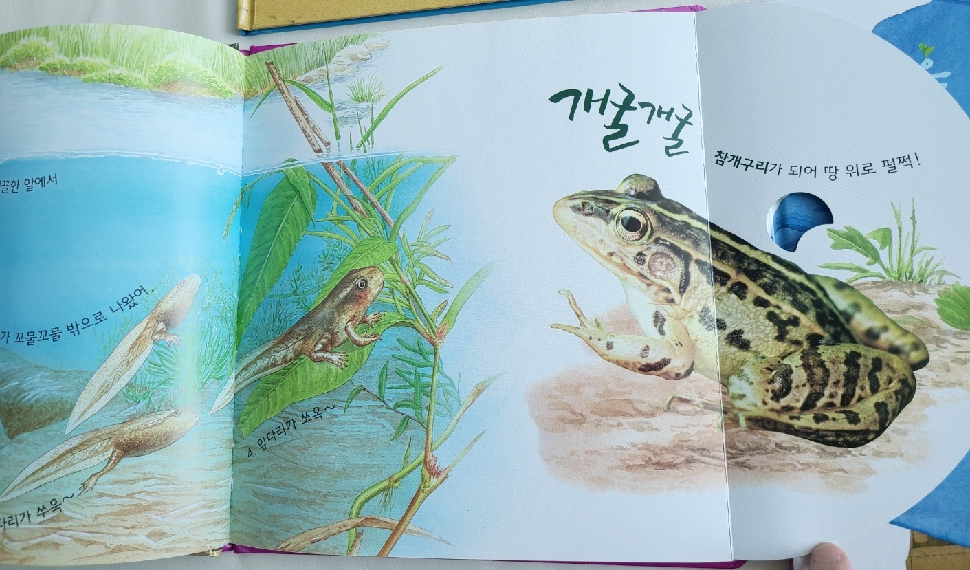 동식물 주제 일부