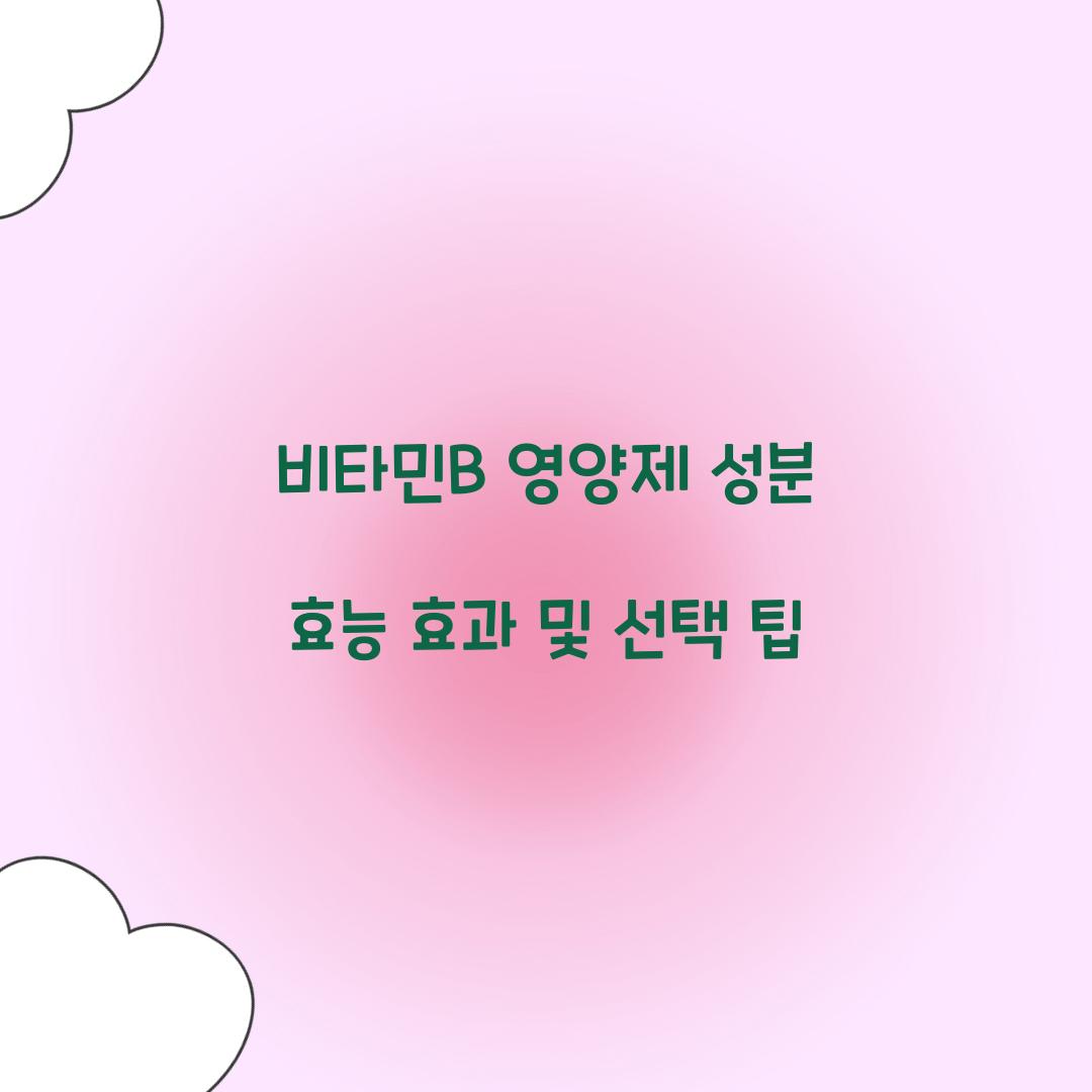 비타민B 영양제 성분 효능 효과