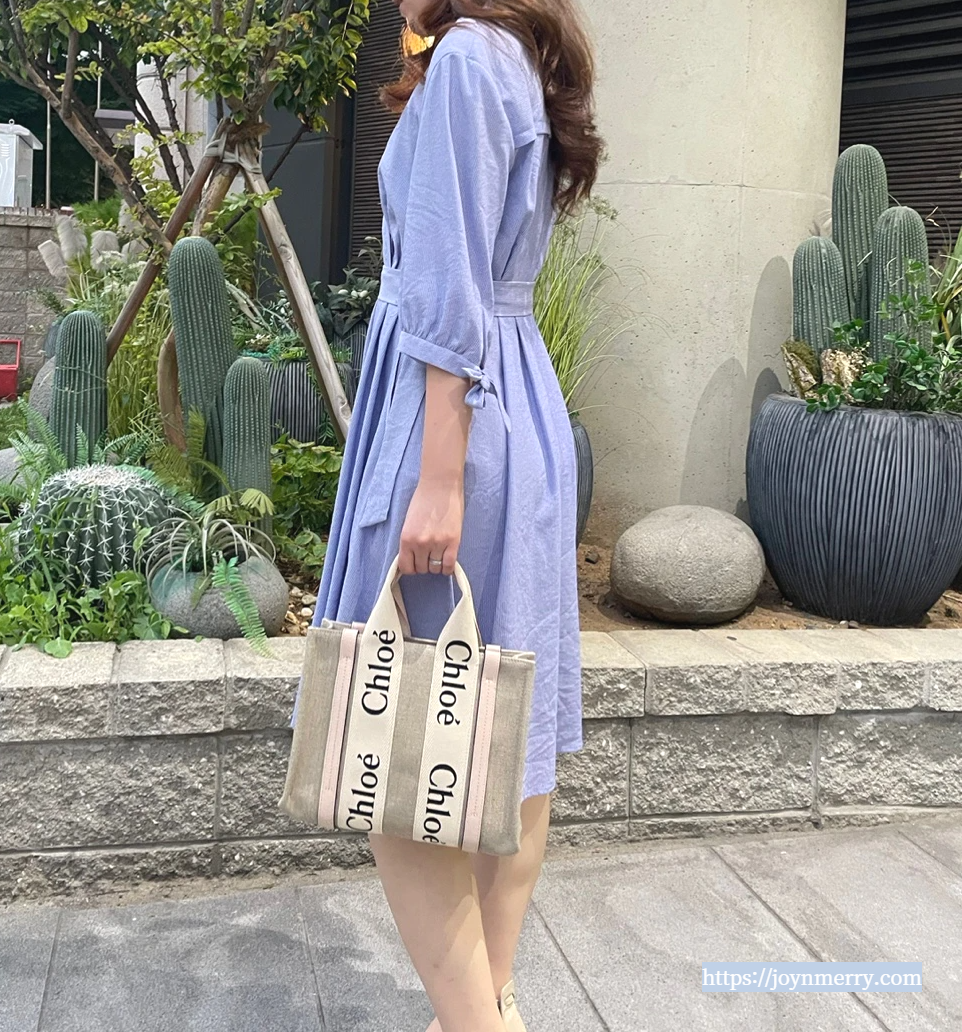 100만원대 명품백 끌로에 우디백 스몰