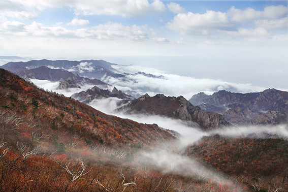 국립공원 앱&amp;#39;탐방 알리미&amp;#39;