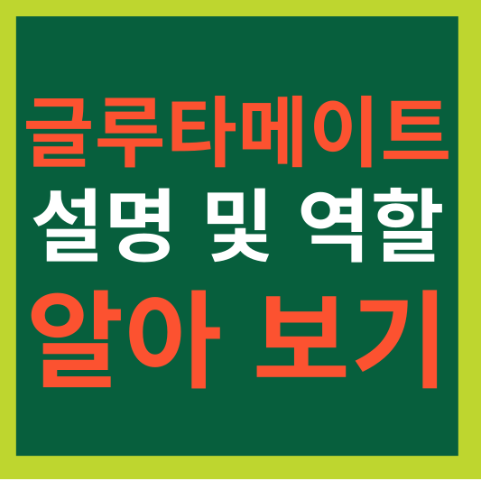 글루타메이트 설명 및 역할 알아보기
