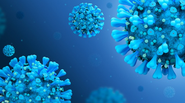 장 건강과 면역력의 관계 &amp; 프로바이오틱스의 효과