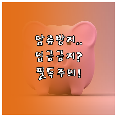 압류방지통장 체크카드 사용 시 입금 ..