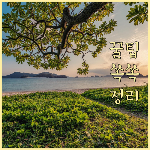 현천동 주민을 위한 쓰레기 분리수거 ..