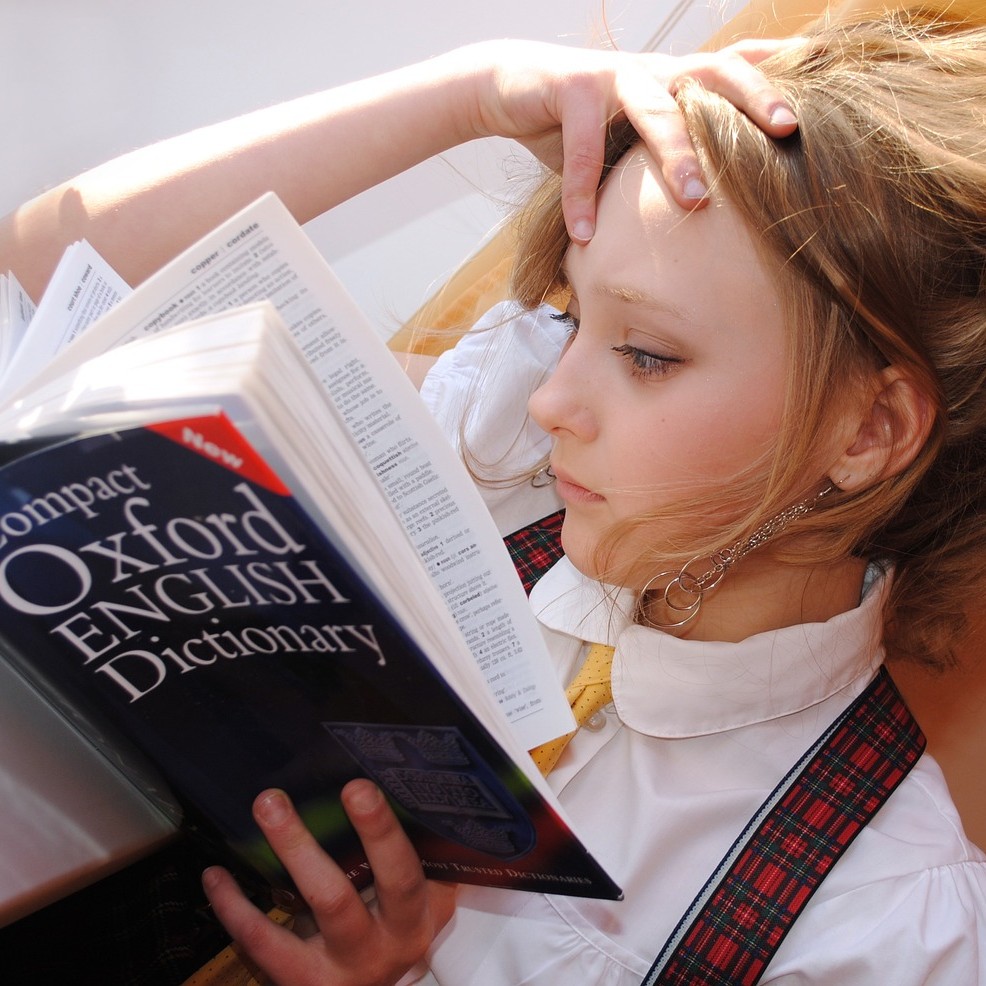 포스파티딜세린(Phosphatidylserine)이 기억력 향상에 좋다는 것을 표현하기 위해 사용한 책을 읽고있는 소녀 사진