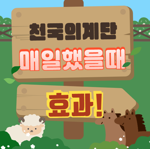 매일 천국의 계단 [스텝퍼] 하면 몸에 일어나는 변화