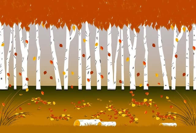 11월 12일 실시간 오퀴즈 정답 오케이캐쉬백 