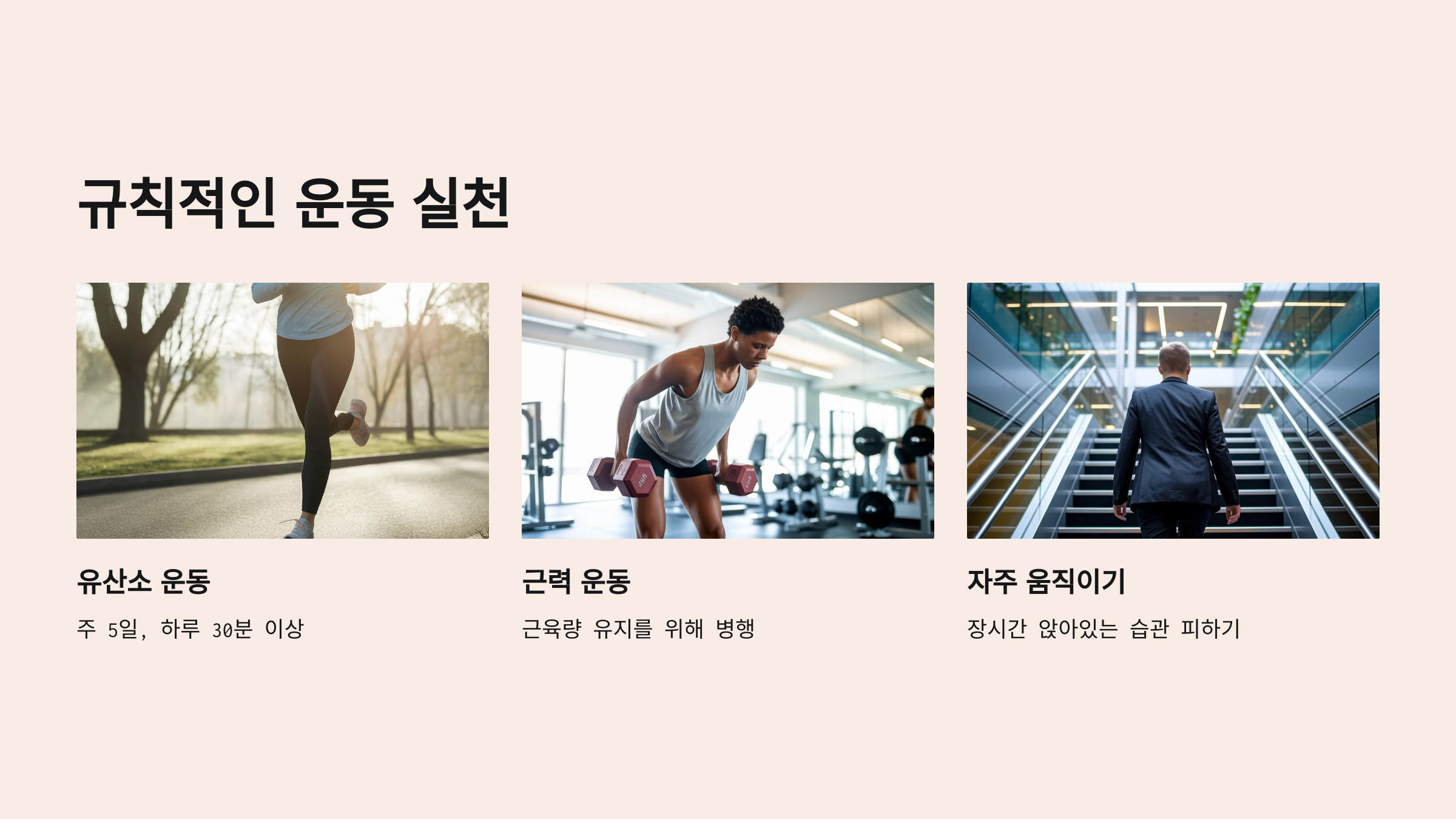 규칙적인 운동
