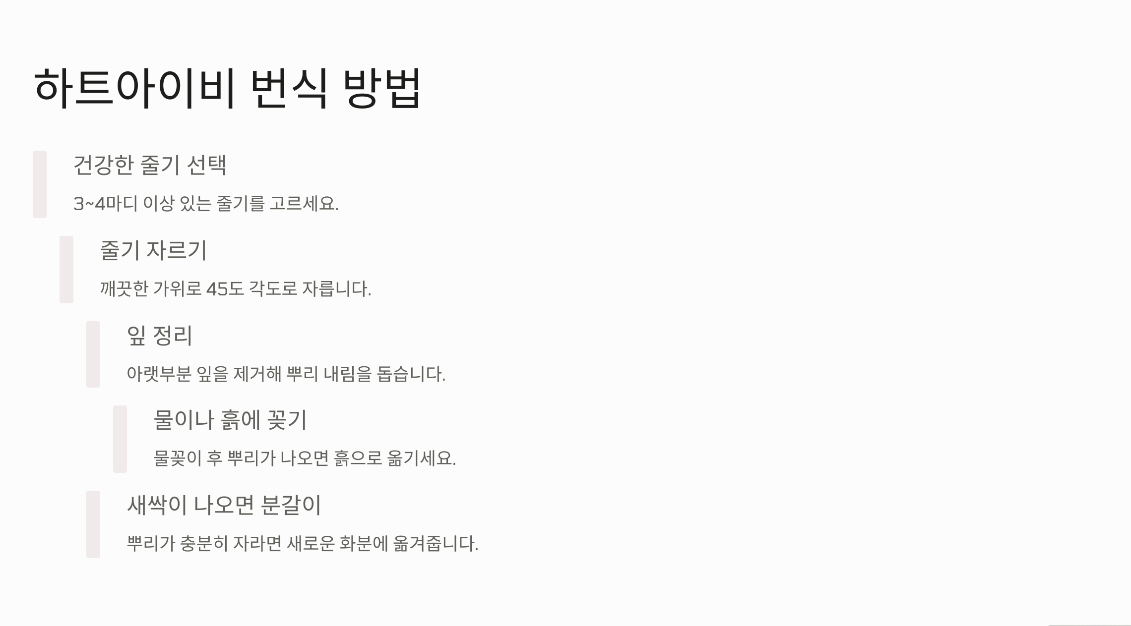 하트아이비 번식 사진