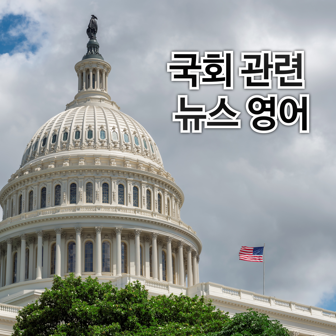 국회와 관련한 유용한 영어 표현