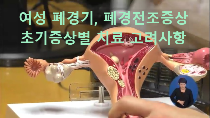 폐경전조증상