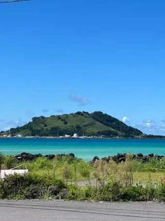 제주 협재 맛집 협재 수우동 예약 꿀팁과 솔직 후기로 안내_5