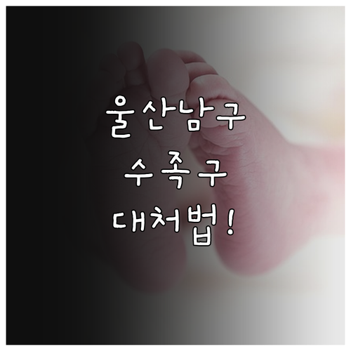 울산 남구 수족구 병원 추천 및 증상..