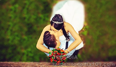 빨간장미- 꽃말- 뜻-역사-장미수-종류-결혼-꽃다발-부케