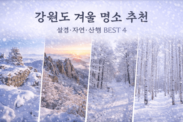 강원도 겨울 여행 명소 추천, 설경·자연·산행 BEST 4