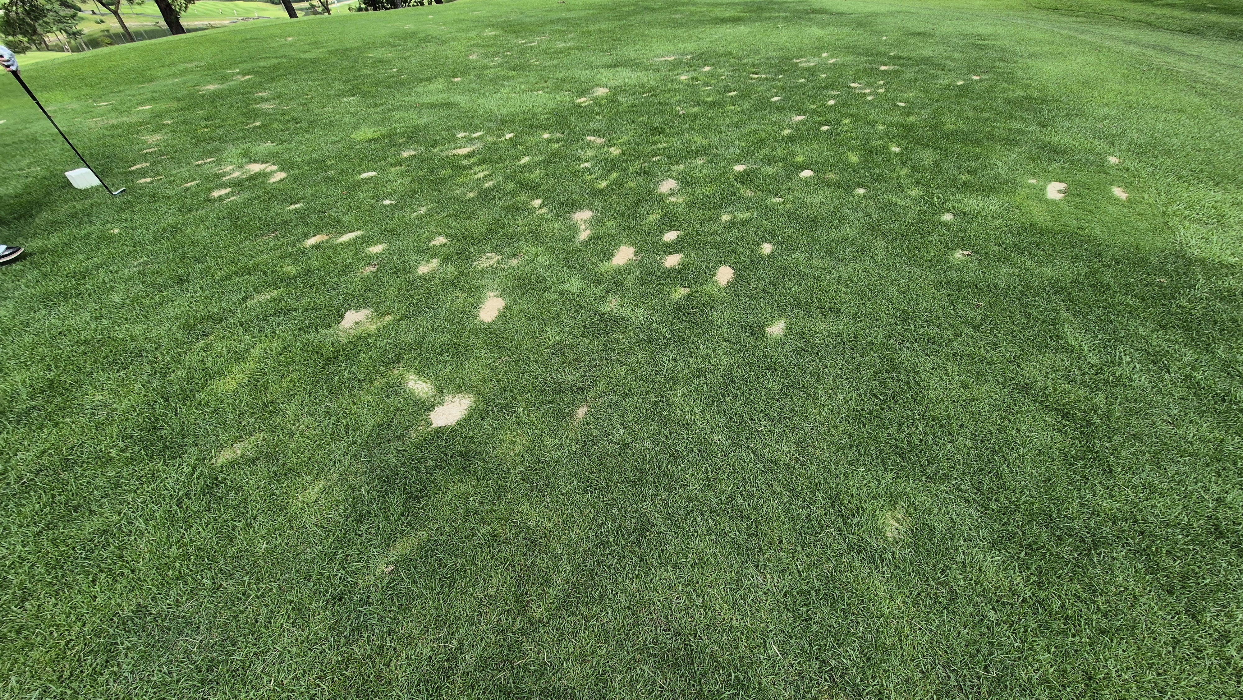 동원썬밸리cc 라운드 후기