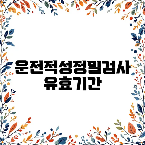운전적성정밀검사 유효기간