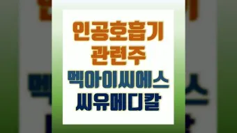인공호흡기 대장주 관련주 TOP5 총정리_24