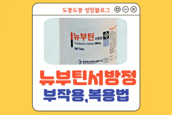 뉴부틴서방정 안내 이미지