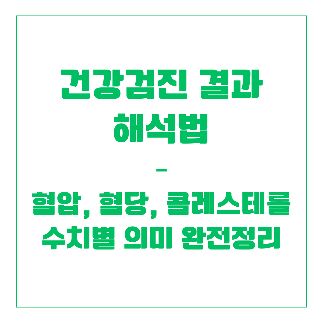 건강검진 결과 해석법 – 혈압, 혈당, 콜레스테롤 수치별 의미 완전정리