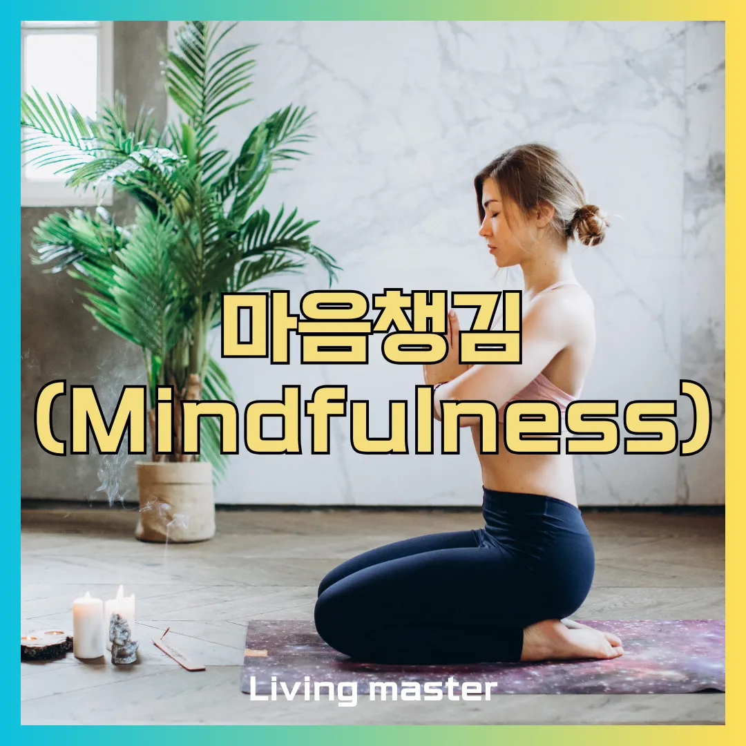 마음챙김 배우기에 대해서 알려드립니다.