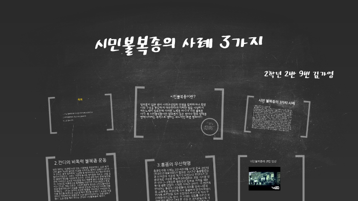 시민불복종- 주요- 사례1