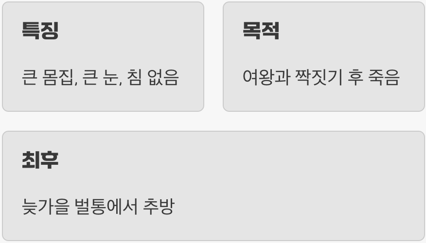 슬픈 운명의 왕자님&amp;#44; 수벌