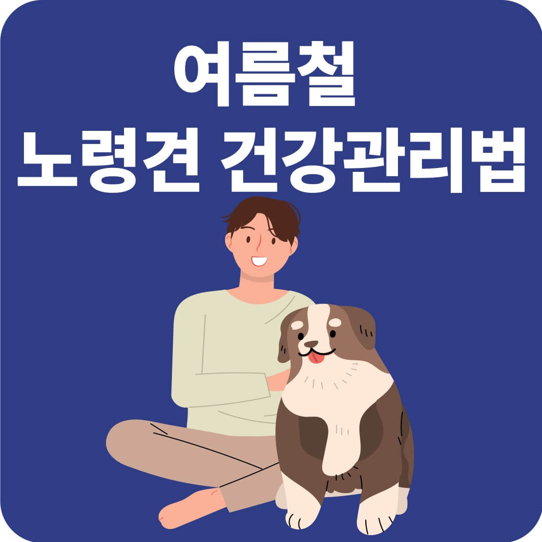 여름철 노령견 건강관리법