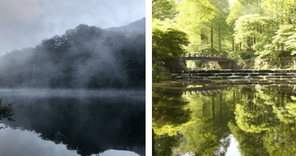 장태산 자연휴양림 저수지 물안개, 여름 풍경