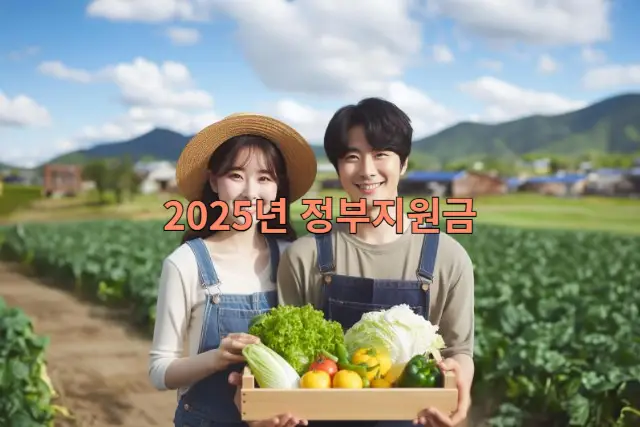 2025년 소상공인 지원금 관련 이미지