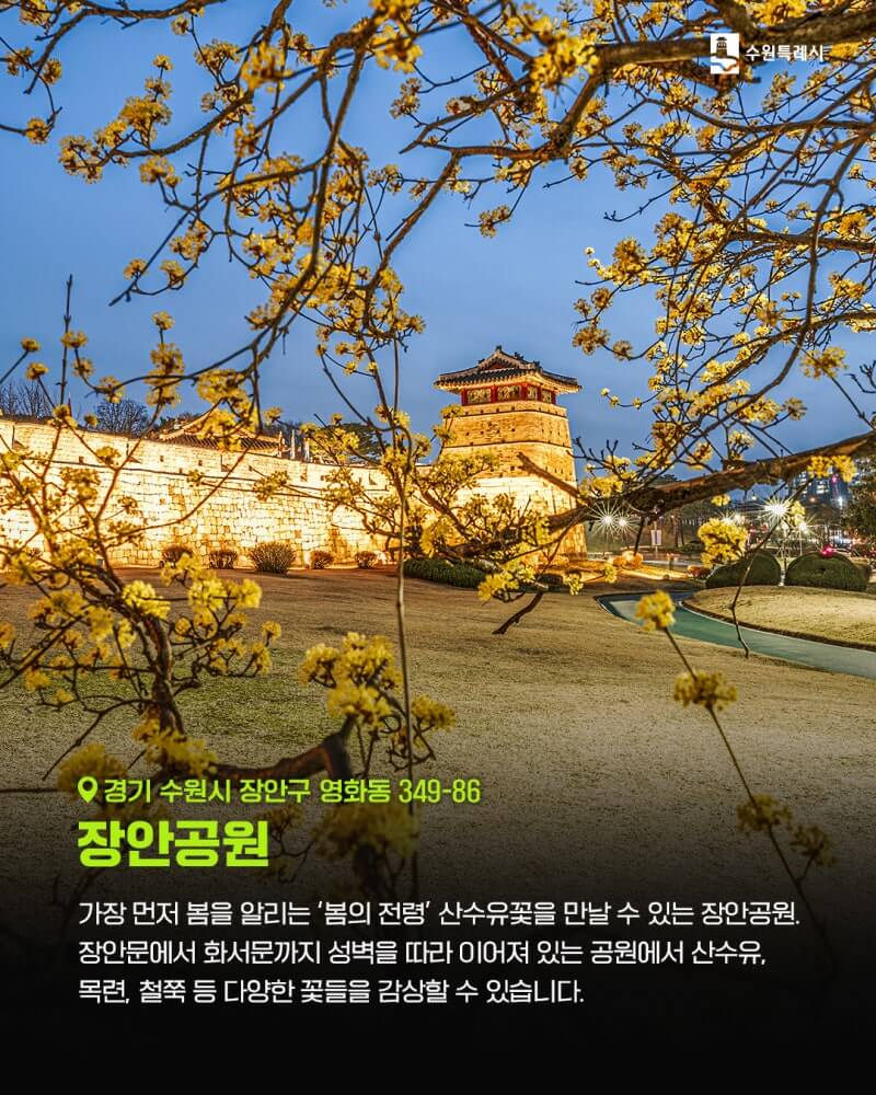 장안공원