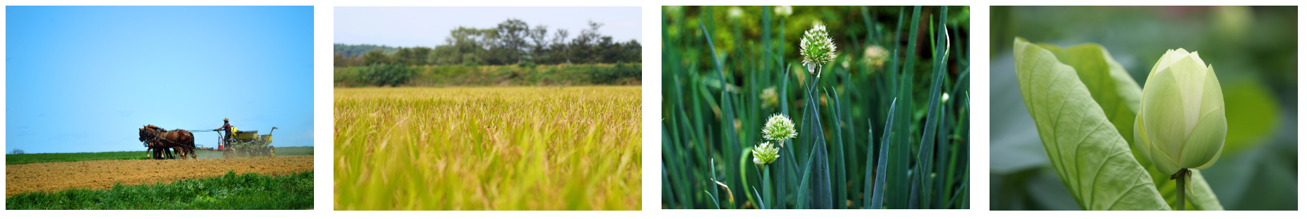 공익직불금 관련 사진