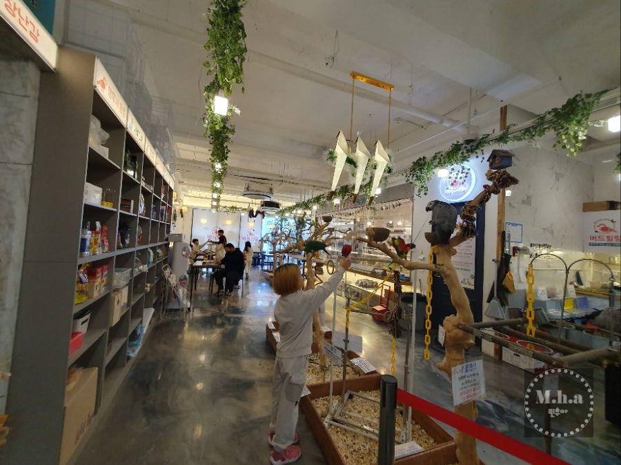 배곧 버드 힐링