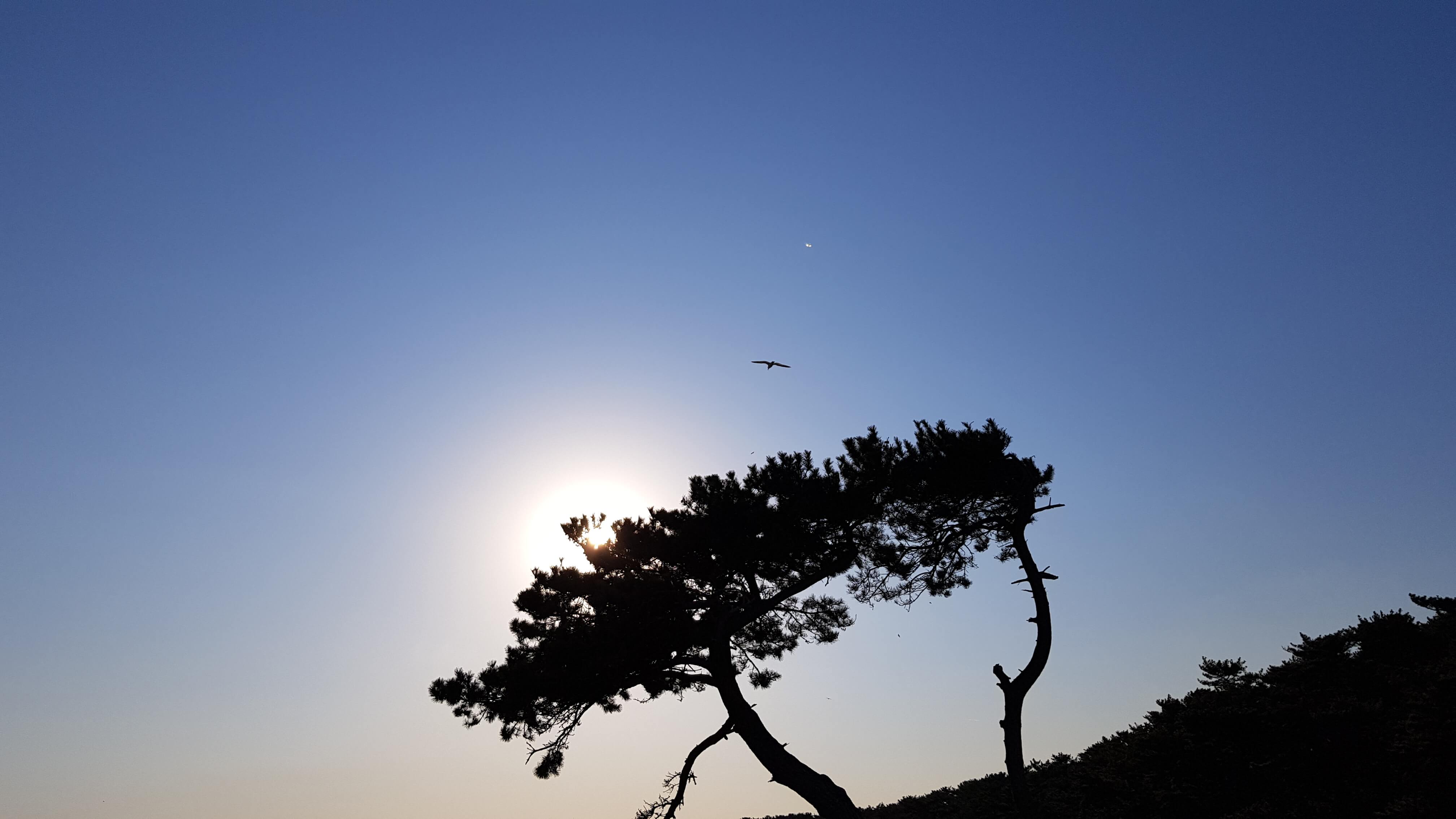 울산 여행지 추천 대왕암공원