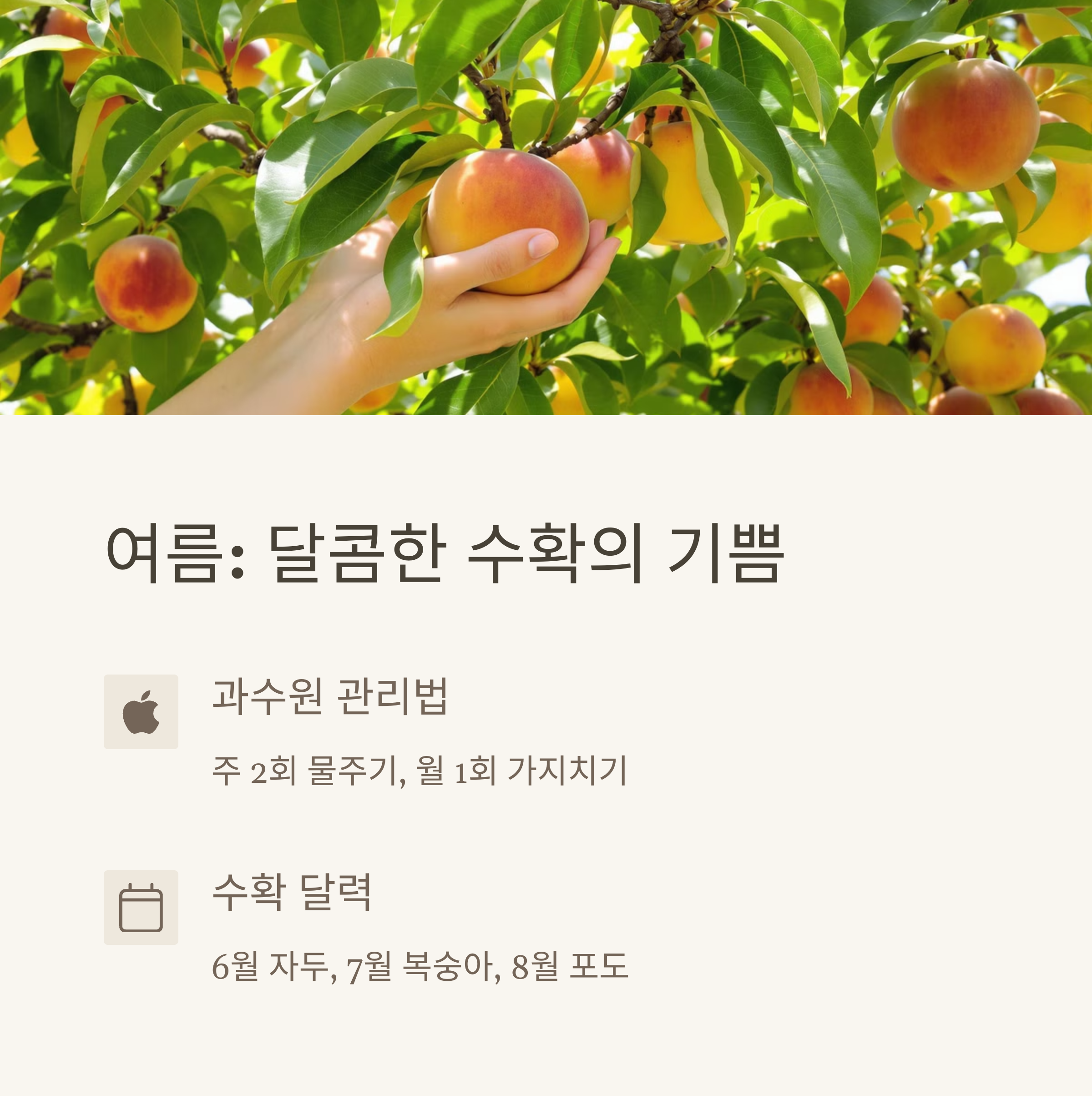 전원생활 20년차가 전하는 황금기 취미생활 완벽 가이드