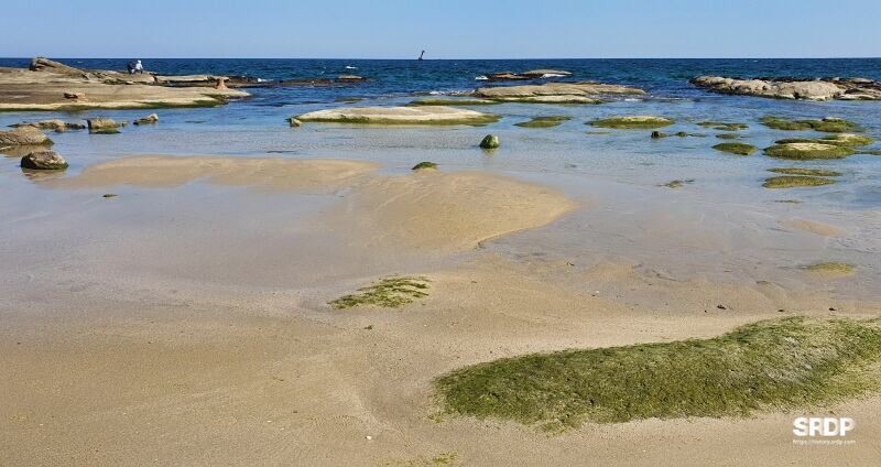 아야진-해변-해수욕장-스위밍터틀-강원도-고성-오션뷰-카페