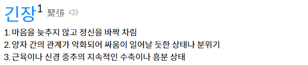 다음 사전 캡처