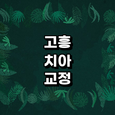 고흥군 교정 치과