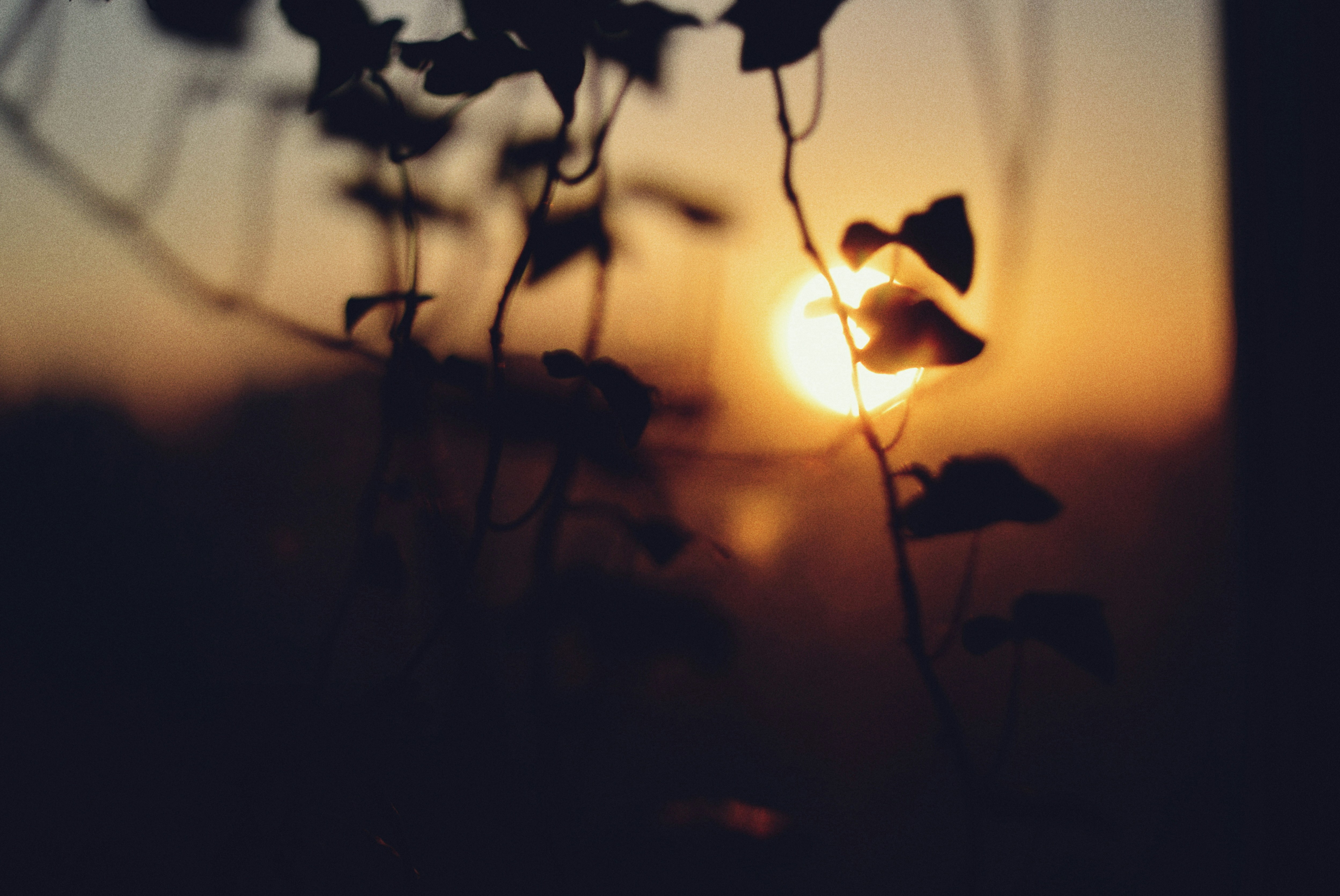 키움증권 배당금 확인방법