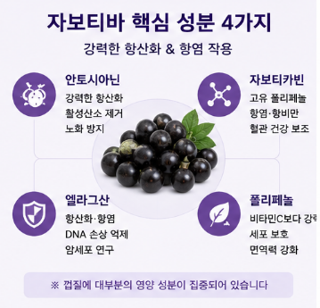 자보티바-효능-내돈내산-솔직-후기-복용방법-열매-부작용