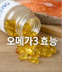 오메가3 효능