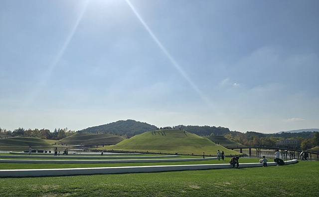 2025 순천만국가정원 입장료 추천코스 스카이큐브 순천여행 근처맛집 현지인추천 맛집 주차장 동문 서문 편의시설 예약 정원해설