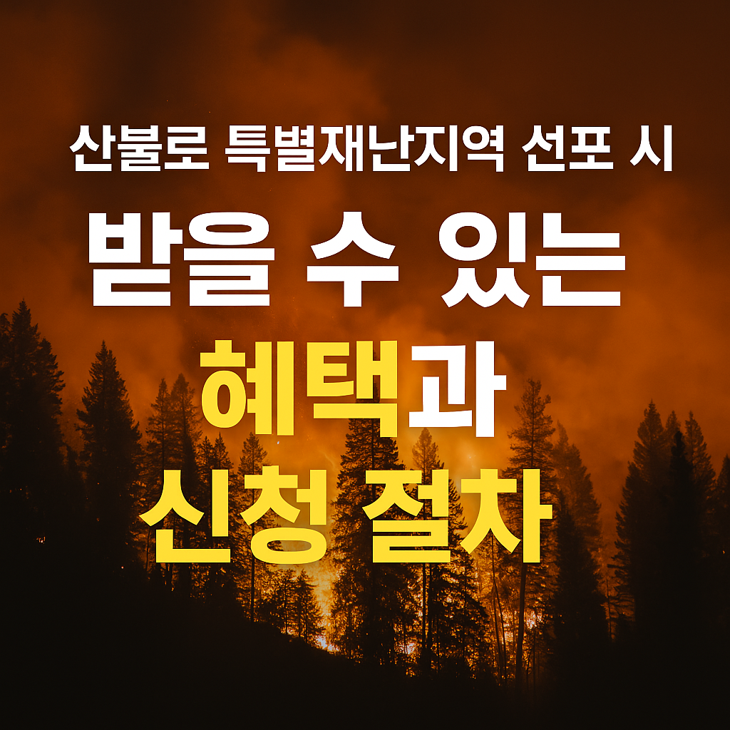 산불로 특별한 재난 지역이 있음을 알리는 때를 보낼 수 있는 혜택과 신청 절차를 안내하는 텍스트가 포함된 숲의 이미지