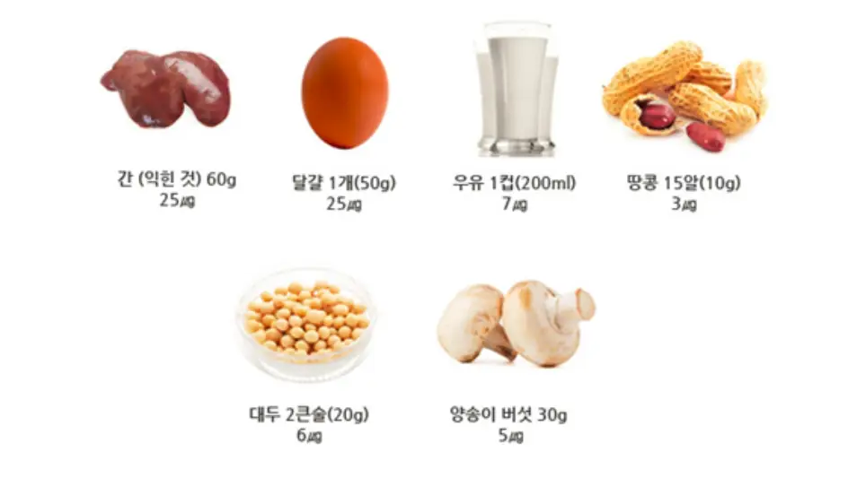비오틴 효능