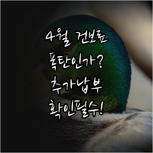 4월 건강보험료 정산 원인과 추가 납..