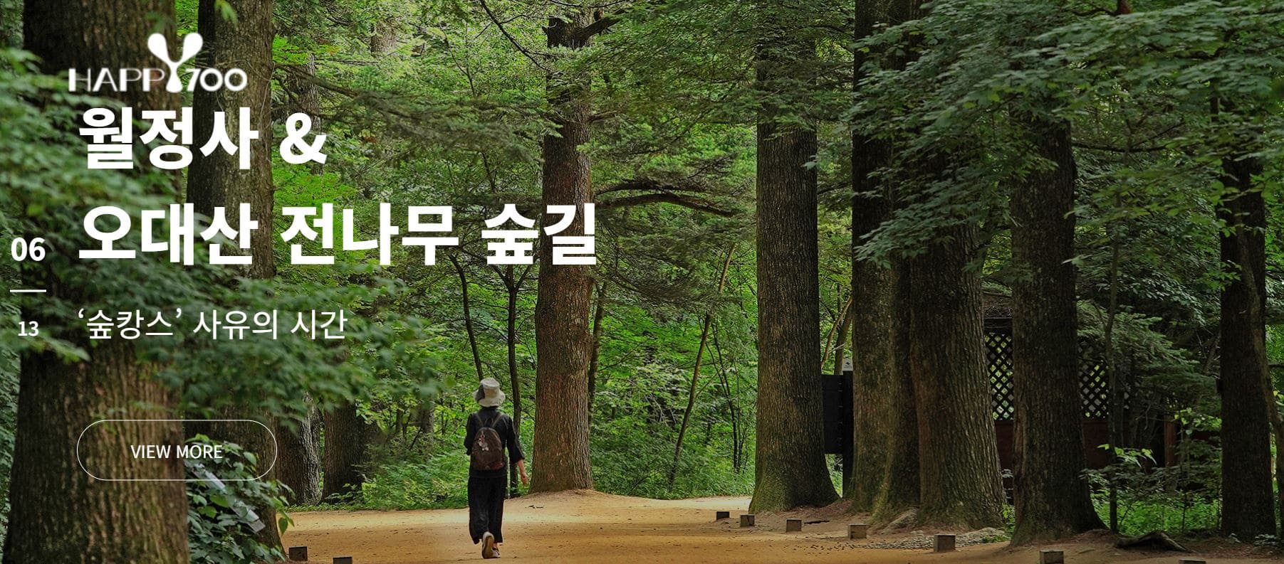 평창_월정사_전나무숲길_숲강스