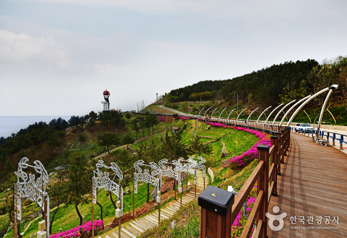 영덕 가볼만한곳 베스트10