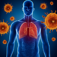 프로폴리스 효능