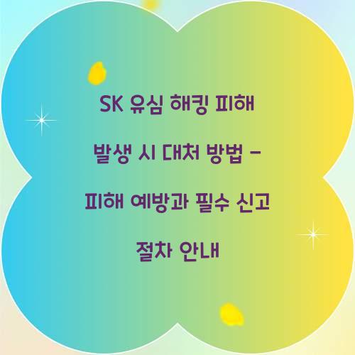 SK 유심 해킹 피해 발생 시 대처 방법