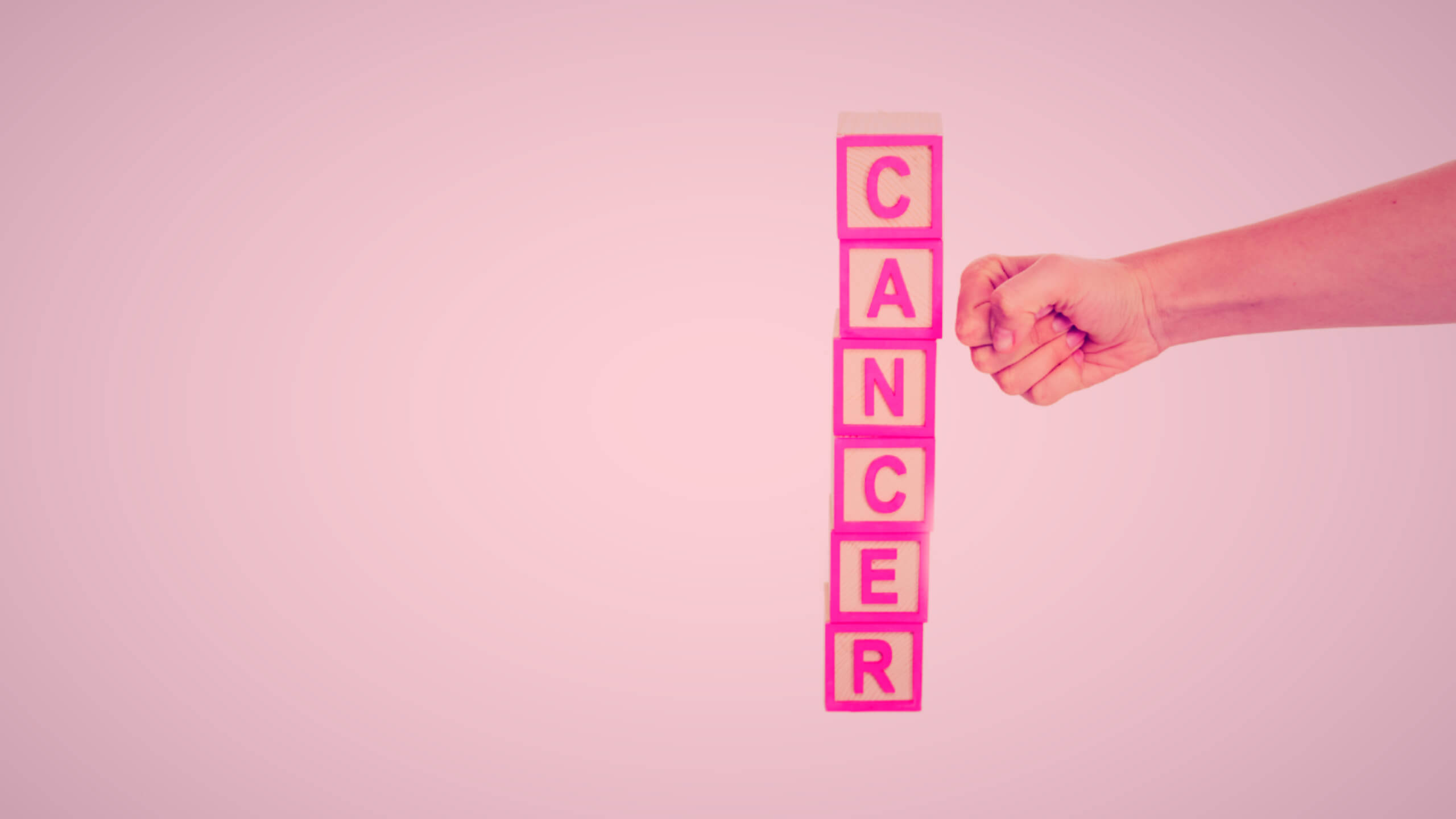 항암효능이 있는 양배추